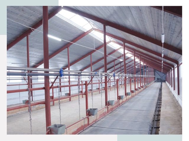 Строительство коровников в Новомосковске от 620 руб.