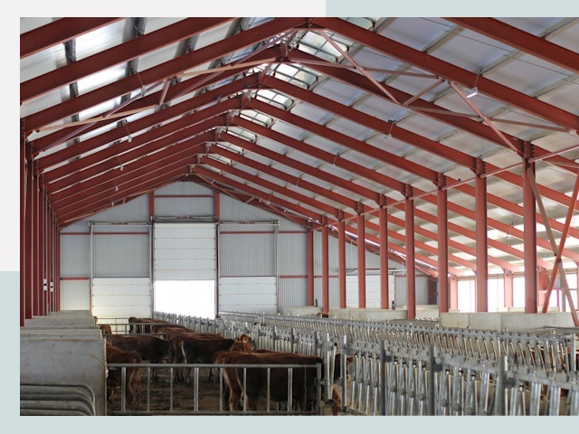 Строительство коровников в Новомосковске