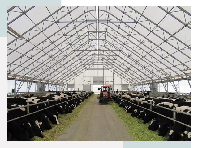 Тентовые коровники в Новомосковске от 620 руб. - Надежно и доступно