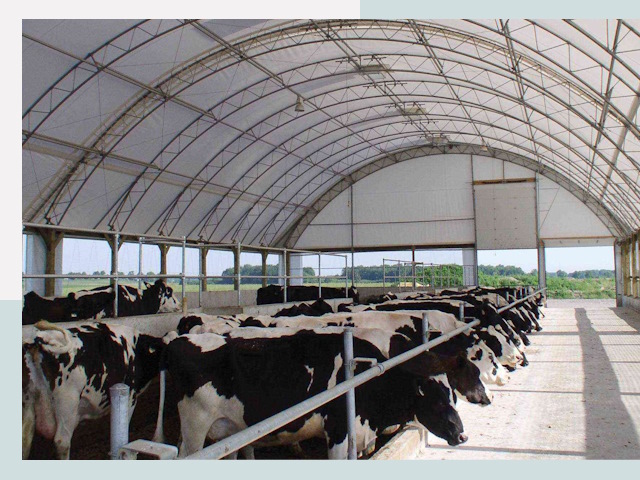 Тентовые коровники в Новомосковске